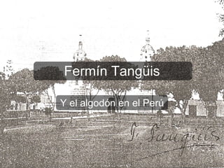 Fermín Tang üis Y el algodón en el Perú 