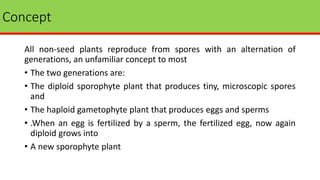 Concept
All non-seed plants reproduce from spores with an alternation of
generations, an unfamiliar concept to most
• The two generations are:
• The diploid sporophyte plant that produces tiny, microscopic spores
and
• The haploid gametophyte plant that produces eggs and sperms
• .When an egg is fertilized by a sperm, the fertilized egg, now again
diploid grows into
• A new sporophyte plant
 