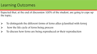 Learning Outcomes
Expected that, at the end of discussion 100% of the student, are going to cope up
the topic;
 To distinguish the different forms of ferns allies (classified with ferns)
 how the life cycle of ferns being process
 To discuss how ferns are being reproduced or their reproduction
 