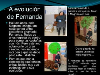 A evolución
de Fernanda
 Hai uns anos, polo
Magosto, chegou ao
noso centro unha
castañeira chamada
Fernanda. Todos os
anos regresa ao centro
para comer as castañas
con nós. Pero este ano
notámoslle un gran
cambio, non sabemos
moi ben a que se debe
pero está....distinta.
 Para os que non a
coñecedes aquí tendes
unhas fotiños nas que
podedes ver a súa
evolución.
Así era Fernanda a
primeira vez queveu facer
o Magosto con nós.
O ano pasado xa
estaba un chisco
máis moderna…
Á Fernanda de novembro
do 2017 notámola algo
cambiada, por eso
dicidimos facer as historias
sobre o que lle tería
 