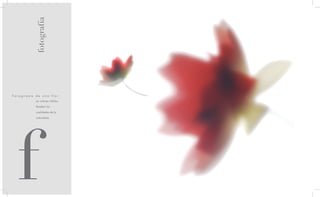 fotografía




Fotograma de una flor
          en colores cálidos.

          Resaltar las

          cualidades de la




  f
          naturaleza.
 