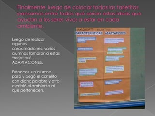 Luego de realizar
algunas
aproximaciones, varios
alumnos llamaron a estas
“tarjetitas”
ADAPTACIONES.
Entonces, un alumno
pasó y pegó el cartelito
con dicha palabra y otro
escribió el ambiente al
que pertenecen.
 