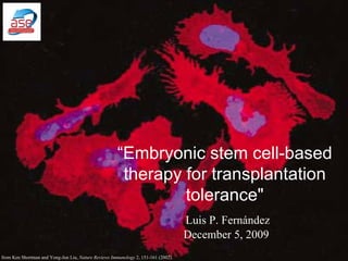 Luis P. Fernández December 5, 2009 Image from Ken Shortman and Yong-Jun Liu,  Nature Reviews Immunology  2, 151-161 (2002). “ Embryonic stem cell-based therapy for transplantation tolerance&quot; 