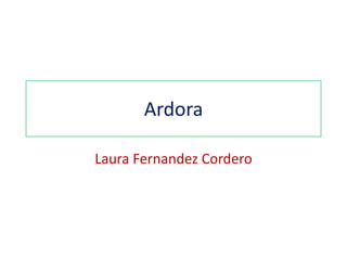 Ardora
Laura Fernandez Cordero
 