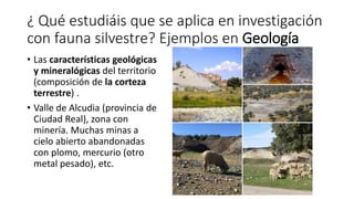 ¿ Qué estudiáis que se aplica en investigación
con fauna silvestre? Ejemplos en Geología
• Las características geológicas
...