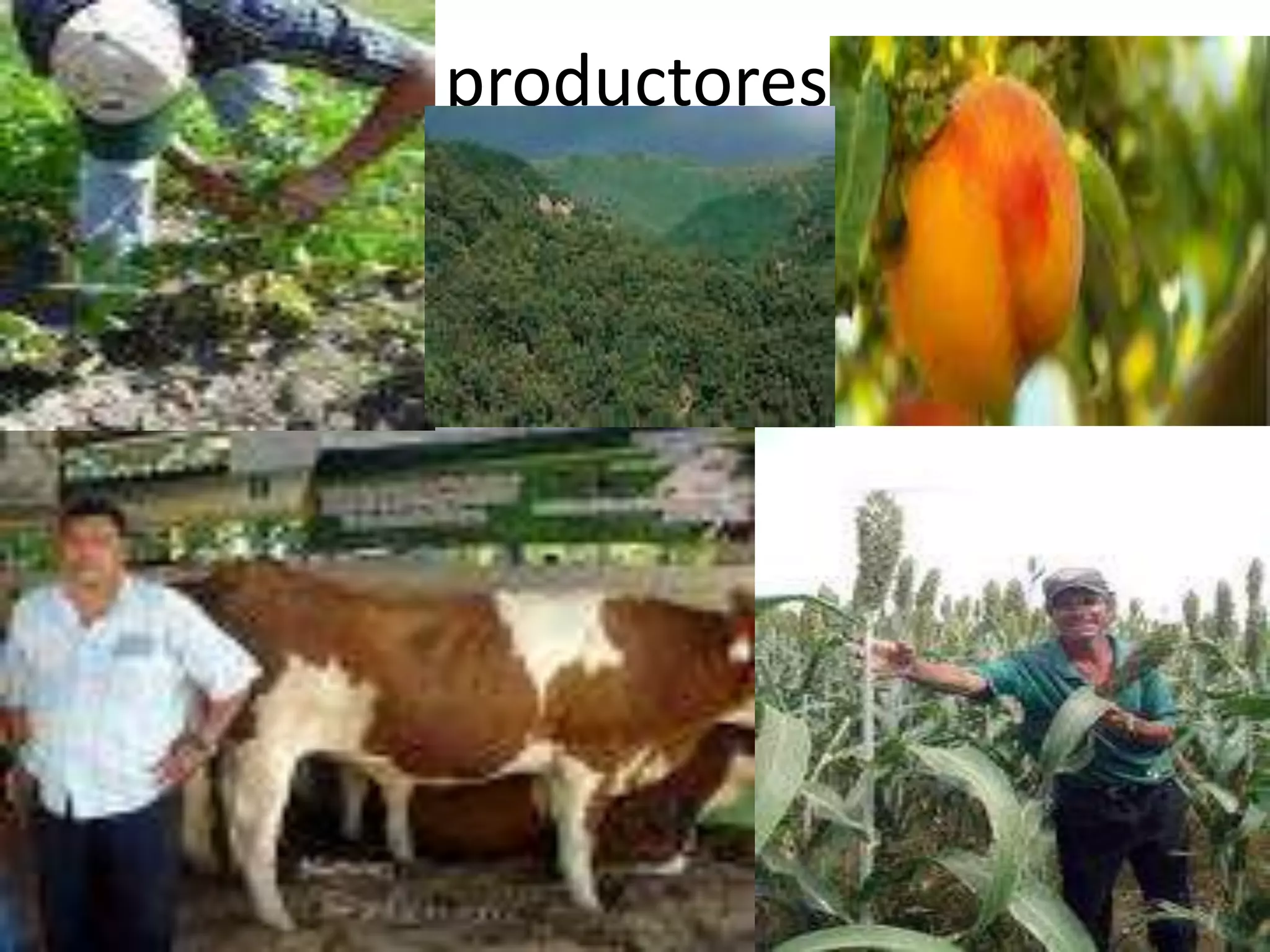 productores