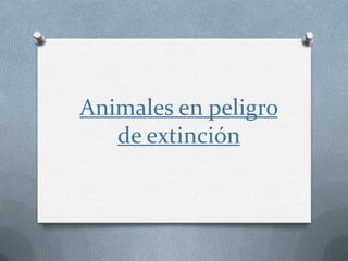 Animales en peligro
de extinción
 