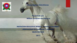 Razas Equinas Colombianas
Presentado por:
William Fernando Díaz Becerra
INSTIUCION EDUCATIVA TECNICA “SUSANA GUILLEMIN”
ESPECIALIDAD EN COMERCIO Y SISTEMAS
BELÉN-BOYACÁ
2017
 