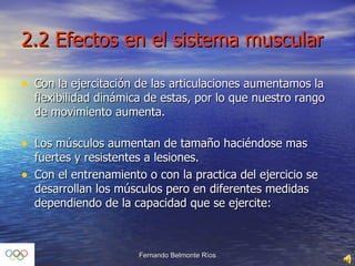 2.2 Efectos en el sistema muscular Con la ejercitación de las articulaciones aumentamos la flexibilidad dinámica de estas, por lo que nuestro rango de movimiento aumenta.  Los músculos aumentan de tamaño haciéndose mas fuertes y resistentes a lesiones.  Con el entrenamiento o con la practica del ejercicio se desarrollan los músculos pero en diferentes medidas dependiendo de la capacidad que se ejercite: 