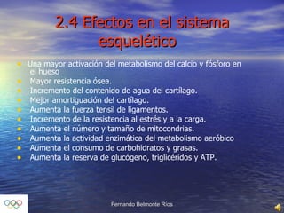 2.4 Efectos en el sistema esquelético  Una mayor activación del metabolismo del calcio y fósforo en  el hueso  Mayor resistencia ósea. Incremento del contenido de agua del cartílago.  Mejor amortiguación del cartílago.  Aumenta la fuerza tensil de ligamentos.  Incremento de la resistencia al estrés y a la carga. Aumenta el número y tamaño de mitocondrias. Aumenta la actividad enzimática del metabolismo aeróbico  Aumenta el consumo de carbohidratos y grasas. Aumenta la reserva de glucógeno, triglicéridos y ATP. 