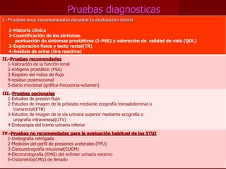 Pruebas diagnosticas I.-P ruebas muy recomendadas durante la evaluación inicial 1-Historia clinica 2-Cuantificación de los síntomas puntuación de síntomas prostáticos (I-PSS) y valoración de  calidad de vida (QOL) 3-Exploración física y tacto rectal(TR) 4-Análisis de orina (tira reactiva)  II.- Pruebas recomendadas 1-Valoración de la función renal 2-Antigeno prostático (PSA) 3-Registro del índice de flujo 4-residuo postmiccional 5-diario miccional (gráfica frecuencia-volumen) III.- Pruebas opcionales 1-Estudios de presión-flujo 2-Estudios de imagen de la próstata mediante ecografía transabdominal o transrectal(ETR) 3-Estudios de imagen de la vía urinaria superior mediante ecografía o urografía intravenosa(UTV) 4-Endoscopia del tramo urinario inferior IV.- Pruebas no recomendadas para la evaluación habitual de los STUI 1-Uretografía retrógada 2-Medición del perfil de presiones ureterales (PPU) 3-Cistouretrografía miccional(CUGM) 4-Electromiografía (EMG) del esfinter urinario externo 5-Cistometría(CMG) de llenado 