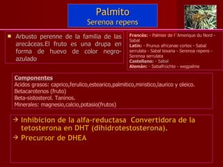 Palmito Serenoa repens Inhibicion de la alfa-reductasa  Convertidora de la tetosterona en DHT (dihidrotestosterona). Precursor de DHEA Arbusto perenne de la familia de las arecáceas.El fruto es una drupa en forma de huevo de color negro-azulado Francés:  - Palmier de l´Amerique du Nord - Sabal  Latín:  - Prunus africanae cortex - Sabal serrulata - Sabal texana - Serenoa repens - Serenoa serrulata  Castellano:  - Sabal  Alemán:  - Sabalfrüchte - wegpalme Componentes Acidos grasos: caprico,ferulico,estearico,palmitico,miristico,laurico y oleico. Betacarotenos (fruto) Beta-sistosterol. Taninos. Minerales: magnesio,calcio,potasio(frutos) 