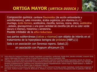   ORTIGA MAYOR  ( URTICA DIOICA ) sus partes subterráneas ( raíces  y  rizomas ) son objeto de interés en el tratamiento de la hiperplasia benigna de  próstata  (HBP).(1) Sola o en asociación con Serenoa repens. Sabal.(2) en asociación con Pygeum africanum (3) Composición química : contiene  flavonoides  (de acción antioxidante y antinflamatoria), sales minerales, ácidos orgánicos, pro vitamina A y C, mucílago,  ácido fórmico , acetilcolina, clorofila, taninos, resina, silicio,  acetilcolina , potasio, glucoquininas y una gran cantidad de clorofila (de ahí su color verde oscuro e intenso), histamina y serotonina. Posible inhibidor de la  alfa-reductasa Urtica dioica for treatment of benign prostatic hyperplasia a prospective, randomized, double-blind, placebo-controlled, crossover study. Authors Safarinejad MR Source Journal of Herbal Pharmacotherapy Date of publication 2006 [Efficacy of a combined Sabal-urtica preparation in the symptomatic treatment of benign prostatic hyperplasia. Results of a placebo-controlled double-blind study] Original title Symptomatische Wirksamkeit eines Sabal-urtica-Kombinationspräparats in der Therapie des benignen Prostatasyndroms. Ergebnisse einer plazebokontrollierten Doppelblindstudie. Authors Popa G, Hägele-Kaddour H, Walther C Source MMW Fortschritte der Medizin Date of publication 2005 Oct Combined extracts of Urtica dioica and Pygeum africanum in the treatment of benign prostatic hyperplasia: double-blind comparison of two doses. Authors Krzeski T, Kazón M, Borkowski A, Witeska A, Kuczera J Source Clinical therapeutics Date of publication 1993 Nov-Dec. 