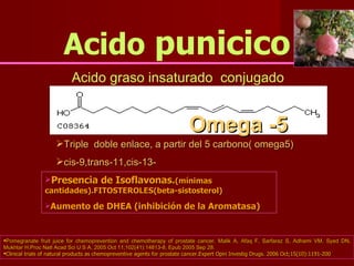 Acido  punicico Omega -5 Triple  doble enlace, a partir del 5 carbono( omega5) cis-9,trans-11,cis-13-   Acido graso insaturado  conjugado Presencia de Isoflavonas. (mínimas cantidades).FITOSTEROLES(beta-sistosterol) Aumento de DHEA (inhibición de la Aromatasa) Pomegranate fruit juice for chemoprevention and chemotherapy of prostate cancer. Malik A, Afaq F, Sarfaraz S, Adhami VM, Syed DN, Mukhtar H.Proc Natl Acad Sci U S A. 2005 Oct 11;102(41):14813-8. Epub 2005 Sep 28.   Clinical trials of natural products as chemopreventive agents for prostate cancer.Expert Opin Investig Drugs. 2006 Oct;15(10):1191-200 
