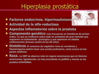 Hiperplasia prostática Factores endocrinos. hiperinsulinismo Actividad de la alfa-reductasa Aspectos inflamatorios sobre la prostata Componente genético  más frecuencia en familiares de primer orden. Lo que se evidencia sobre todo en próstatas de gran tamaño que requieren un tratamiento  quirúrgico y que aparecen en edades relativamente jóvenes (antes de los 60 años ). Dietéticos .  El consumo de vegetales ricos en carotenos y fitoestrógenos podría tener una acción protectora, como ocurre en los países asiáticos.  Raza.  La HBP se observa más en negros americanos que en blancos americanos. Igualmente, es más prevalente en  judíos  y menos en los pueblos  orientales. 