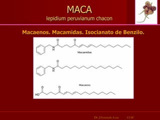 MACA lepidium peruvianum chacon Macaenos. Macamidas. Isocianato de Benzilo. Dr. J.Fernando Losa  CCSF 