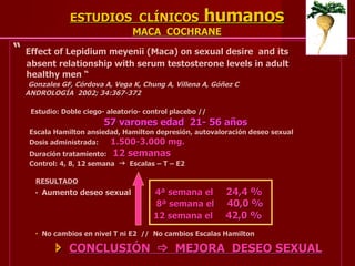 ESTUDIOS  CLÍNICOS  humanos MACA  COCHRANE “  Effect   of Lepidium meyenii (Maca) on sexual desire  and its  absent relationship with serum testosterone levels in adult  healthy men “ Gonzales GF, Córdova A, Vega K, Chung A, Villena A, Góñez C ANDROLOGÍA  2002; 34:367-372 Estudio: Doble ciego- aleatorio- control placebo // 57 varones edad  21- 56 años Escala Hamilton ansiedad, Hamilton depresión, autovaloración deseo sexual Dosis administrada:  1.500-3.000 mg. Duración tratamiento:  12 semanas Control: 4, 8, 12 semana     Escalas – T – E2 RESULTADO    Aumento deseo sexual   4ª semana el  24,4 %   8ª semana el  40,0 %     12 semana el  42,0 %    No cambios en nivel T ni E2  //  No cambios Escalas Hamilton    CONCLUSIÓN     MEJORA  DESEO SEXUAL 