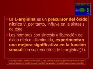 La  L-arginina  es un  precursor del óxido nítrico  y, por tanto, influye en la síntesis de éste.  Los hombres con síntesis y liberación de óxido nítrico disminuida,  experimentan una mejora significativa en la función sexual  con suplementos de L-arginina(1). 1. Noel N. Kim, David E. Chistianson, and Abdulmaged M. Traish. Department of Urology and Institute for Sexual Medicine, Boston University School of Medicine; Department of Biochemistry, Boston University School of Medicine; and Roy and Diana Vagelos Laboratories, Department of Chemistry, University of Pennsylvania. Role of Arginase in the Male and Female Sexual Arousal Response. 
