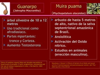 Muira puama ( Ptychopetalum olacoides)   arbusto de hasta 5 metros de alto, nativo de la selva septentrional   amazónica de Brasil. Ansiolitica Activación del Oxido nitrico. Estudios en animales (erección masculina). Waynberg J, Brewer S. Effects of Herbal vX on libido and sexual activity in premenopausal and postmenopausal women. Adv Ther 2000 Sep-Oct;17(5):255-62 Guanarpo (Jatropha Macrantha) árbol silvestre de 10 a 12 metros   Uso tradicional como afrodiasiaco. Partes mportantes: tronco y Corteza. Aumento Testosterona  Efects of Lepidium meyenii Walp and Jatropha macrantha on blood levels of estradiol-17 beta, progesterone, testosterone and the rate of embryo implantation in mice.  J Vet Med Sci. 2003 Oct;65(10):1145-6 