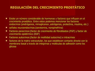 REGULACIÓN DEL CRECIMIENTO PROSTÁTICO Existe un número considerable de hormonas y factores que influyen en el crecimiento prostático. Entre estos podemos mencionar los factores endocrinos (andrógenos, minoglicanos ,estrógenos, prolactina, insulina, etc.) señales neuroendocrinas:(serotonina, norepinefrina) Factores paracrinos:(factor de crecimiento de fibroblastos (FGF) y factor de crecimiento epidérmico (EGF) Factores autocrinos:(factor de motilidad autocrino) e intracrinos factores de la matriz extracelular, los que establecen contacto directo con la membrana basal a través de integrinas y moléculas de adhesión como los glicosa 
