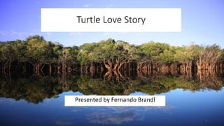 Turtle Love Story
Presented by Fernando Brandl
1
 