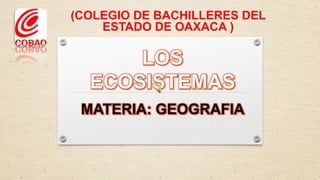 (COLEGIO DE BACHILLERES DEL
    ESTADO DE OAXACA )
 