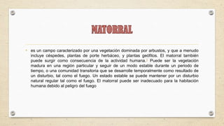 • es un campo caracterizado por una vegetación dominada por arbustos, y que a menudo
  incluye céspedes, plantas de porte herbáceo, y plantas geófitos. El matorral también
  puede surgir como consecuencia de la actividad humana.1 Puede ser la vegetación
  madura en una región particular y seguir de un modo estable durante un periodo de
  tiempo, o una comunidad transitoria que se desarrolle temporalmente como resultado de
  un disturbio, tal como el fuego. Un estado estable se puede mantener por un disturbio
  natural regular tal como el fuego. El matorral puede ser inadecuado para la habitación
  humana debido al peligro del fuego
 