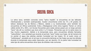 La selva seca, también conocida como "selva tropilla", la encuentras en las latitudes
intertropicales y también subtropicales. Suelen encontrarse entre los 10 y 20 grados de
latitud; destacan las de Bolivia y México, debido a su biodiversidad, pero también las
encuentras en África sudoriental, India y Madagascar entre otros lugares Tienen un clima
cálido (entre 25 y 30C), con lluvias frecuentes pero estas selvas pasan por un largo período
"seco" (de allí su nombre) que dura entre 4 y 9 meses. Pensarías que en la selva seca no
hay mucha vegetación, debido a la temporada seca, pero encuentras árboles llamados
"caducifolios", una variedad que durante el período "seco" botan sus hojas, de tal manera de
no perder el agua (las plantas pierden humedad por las hojas). En el suelo crece un
"sotobosque", ayudado por el sol que no encuentra barreras en las hojas (ya que los árboles
durante la temporada seca están desnudos, por así decirlo). En la parte más humedad de
este tipo de selva encuentras otros tipos de árboles más comunes.
 