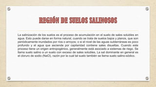 La salinización de los suelos es el proceso de acumulación en el suelo de sales solubles en
agua. Esto puede darse en forma natural, cuando se trata de suelos bajos y planos, que son
periódicamente inundados por ríos o arroyos; o si el nivel de las aguas subterráneas es poco
profundo y el agua que asciende por capilaridad contiene sales disueltas. Cuando este
proceso tiene un origen antropogénico, generalmente está asociado a sistemas de riego. Se
llama suelo salino a un suelo con exceso de sales solubles, La sal dominante en general es
el cloruro de sodio (NaCl), razón por la cual tal suelo también se llama suelo salino-sódico.
 