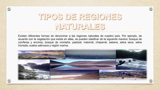 Existen diferentes formas de denominar a las regiones naturales de nuestro país. Por ejemplo, de
acuerdo con la vegetación que existe en ellas, se pueden clasificar de la siguiente manera: bosque de
coníferas y encinos, bosque de montaña, pastizal, matorral, chaparral, sabana, selva seca, selva
húmeda, suelos salinosos y región marina.
 