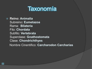 Taxonomía
 Reino:
Subreino:
Rama:
Filo:
Subfilo:
Superclase:
Clase:
Nombre Cinentifico:
 