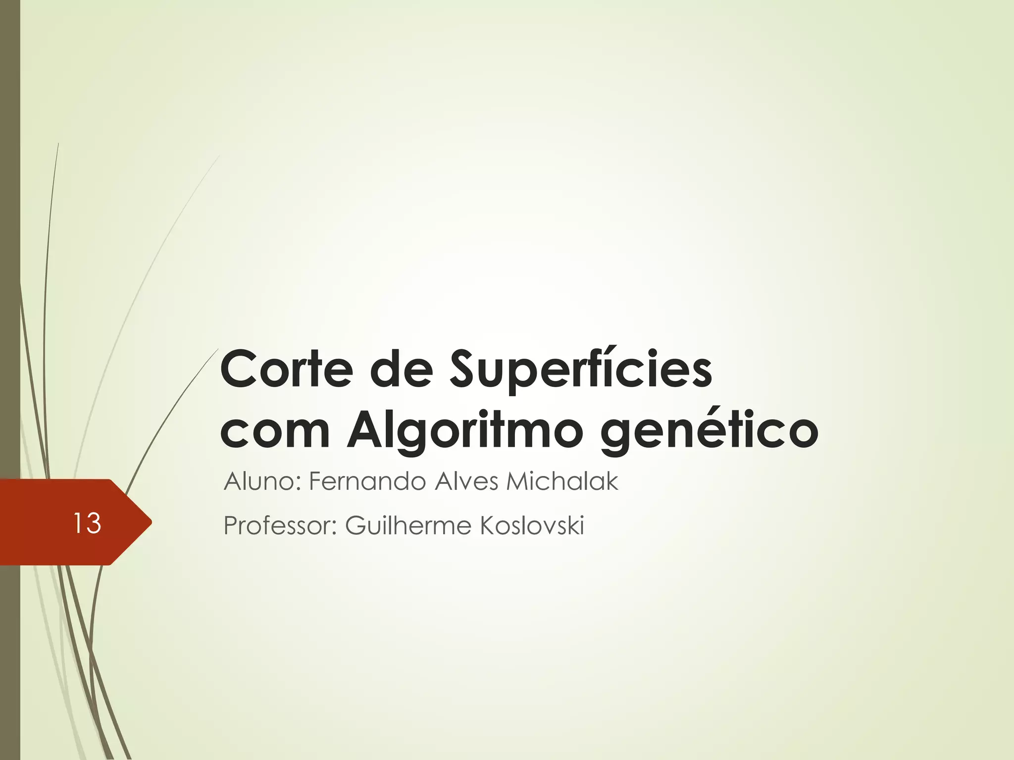 Corte de Superfícies
com Algoritmo genético
Aluno: Fernando Alves Michalak
Professor: Guilherme Koslovski13
 