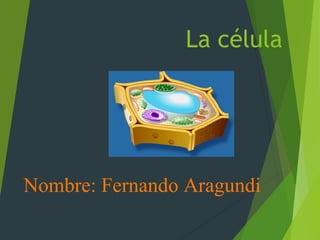 La célula
Nombre: Fernando Aragundi
 