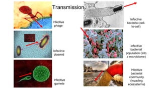 Infective
phage
Infective
plasmid
Infective
gamete
Infective
bacteria (cell-
to-cell)
Infective
bacterial
community
(invading
ecosystems)
Infective
bacterial
population (into
a microbiome)
Transmission
 