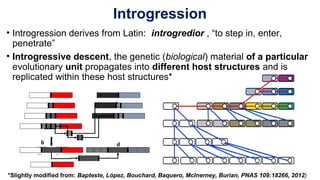 Introgression
• Introgression derives from Latin: introgredior , “to step in, enter,
penetrate”
• Introgressive descent, the genetic (biological) material of a particular
evolutionary unit propagates into different host structures and is
replicated within these host structures*
*Slightly modified from: Bapteste, López, Bouchard, Baquero, McInerney, Burian, PNAS 109:18266, 2012)
......
...
........
..
b d
 