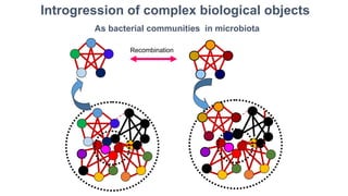Recombination
Introgression of complex biological objects
As bacterial communities in microbiota
 