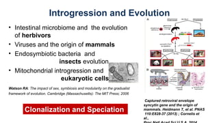 Captured retroviral envelope
syncytin gene and the origin of
mammals. Heidmann T, et al. PNAS
110:E828-37 (2013) ; Cornelis et
al.,
Introgression and Evolution
• Intestinal microbiome and the evolution
of herbivors
• Viruses and the origin of mammals
• Endosymbiotic bacteria and
insects evolution
• Mitochondrial introgression and
eukaryotic cells
Watson RA: The impact of sex, symbiosis and modularity on the gradualist
framework of evolution. Cambridge (Massachusetts): The MIT Press; 2006
Clonalization and Speciation
 