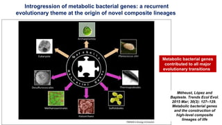 Introgression of metabolic bacterial genes: a recurrent
evolutionary theme at the origin of novel composite lineages
Méheust, López and
Bapteste. Trends Ecol Evol.
2015 Mar; 30(3): 127–129.
Metabolic bacterial genes
and the construction of
high-level composite
lineages of life
Metabolic bacterial genes
contributed to all major
evolutionary transitions.
 
