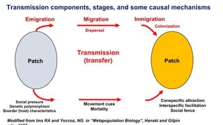 Patch
Emigration
Patch
Migration Inmigration
Colonization
Transmission
(transfer)
Social pressure
Genetic polymorphism
Boarder (host) characteristics
Movement cues
Mortality
Conspecific attraction
Interspecific facilitation
Social fence
Modified from Ims RA and Yoccoz, NG, in “Metapopulation Biology”, Hanski and Gilpin
Transmission components, stages, and some causal mechanisms
Dispersal
 