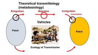 Inmigration
Colonization
Patch
Emigration
Patch
Migration
Theoretical transmittology
(metadosiology)
Vehicles
Ecology of Transmission
 