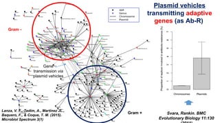 Gram -
Gram +
Gene
transmission via
plasmid vehicles
Plasmid vehicles
transmitting adaptive
genes (as Ab-R)
Lanza, V. F., Tedim, A., Martínez JL.,
Baquero, F., & Coque, T. M. (2015).
Microbiol Spectrum 3(1)
Svara, Rankin. BMC
Evolutionary Biology 11:130
 