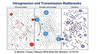 JL Martínez, T Coque, F Baquero (2015) Nature Rev. Microbiol., 13:116-123
Introgression and Transmission Bottlenecks
 