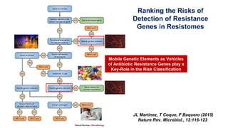 JL Martínez, T Coque, F Baquero (2015)
Nature Rev. Microbiol., 13:116-123
Ranking the Risks of
Detection of Resistance
Genes in Resistomes
Mobile Genetic Elements as Vehicles
of Antibiotic Resistance Genes play a
Key-Role in the Risk Classification
 