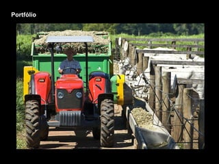 Portfólio 