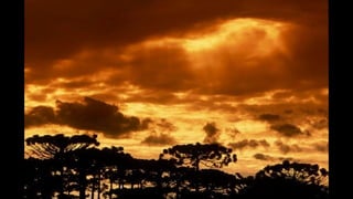 U_PUB 2015/1 - Fernando Bueno