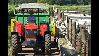 U_PUB 2015/1 - Fernando Bueno