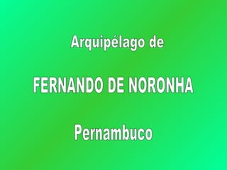 Arquipélago de FERNANDO DE NORONHA Pernambuco 