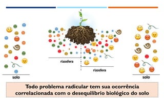 OUTRAS PLANTAS EM CULTIVOS DE CAFÉ
✓ Aumento de matéria orgânica no solo
✓ Controle de nematóides
✓ Rompimento de regiões ...