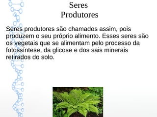 Seres
Produtores
Seres produtores são chamados assim, pois
produzem o seu próprio alimento. Esses seres são
os vegetais que se alimentam pelo processo da
fotossíntese, da glicose e dos sais minerais
retirados do solo.
 