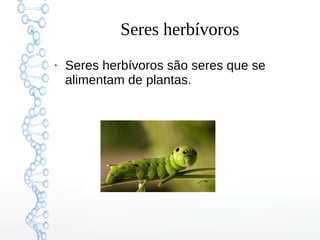 Seres herbívoros
●
Seres herbívoros são seres que se
alimentam de plantas.
 